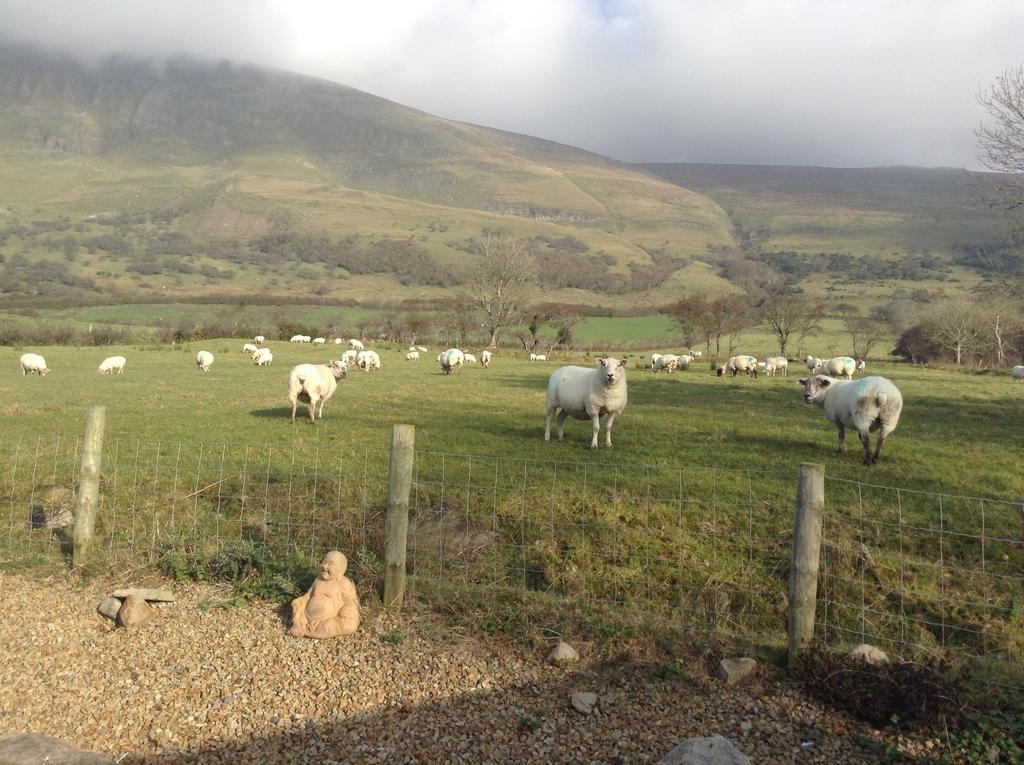Benbulben Farmhouse B&B Drumcliff Zewnętrze zdjęcie